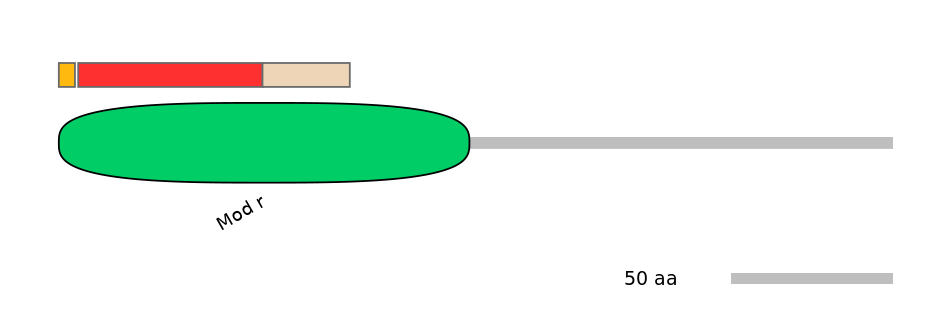 BtaEX6110249-INC