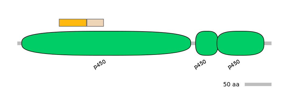 BtaINT0000320-EXC