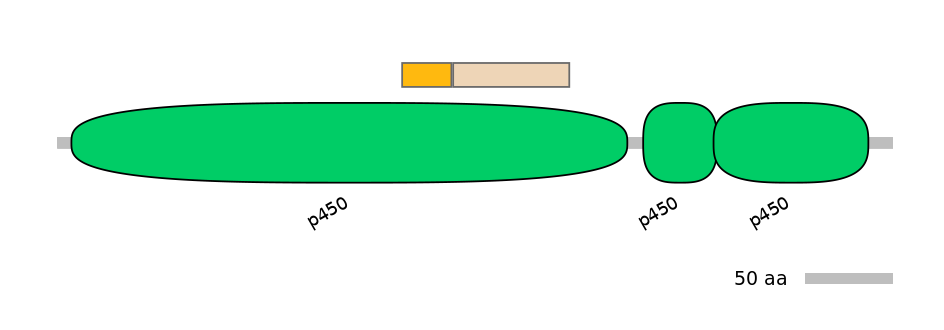 BtaINT0000323-EXC