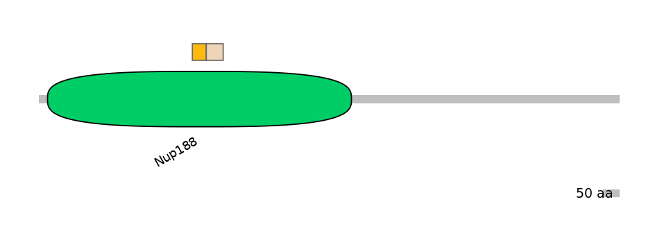 BtaINT0002226-EXC