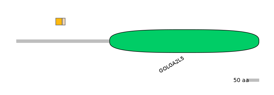 BtaINT0002396-EXC
