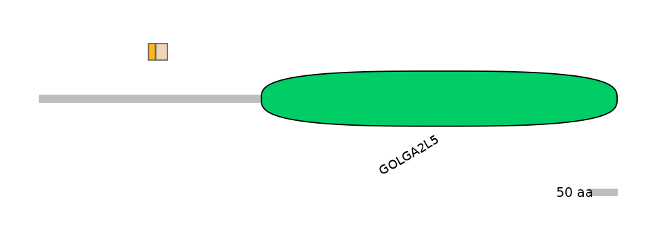 BtaINT0002397-EXC
