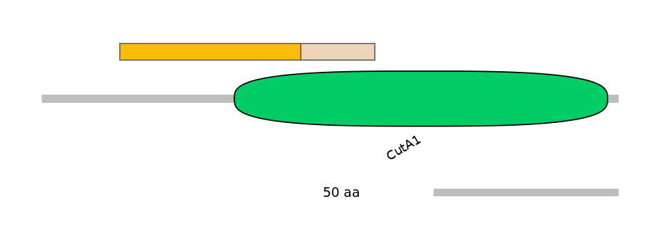 BtaINT0003587-EXC