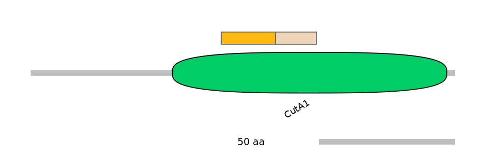 BtaINT0003588-EXC