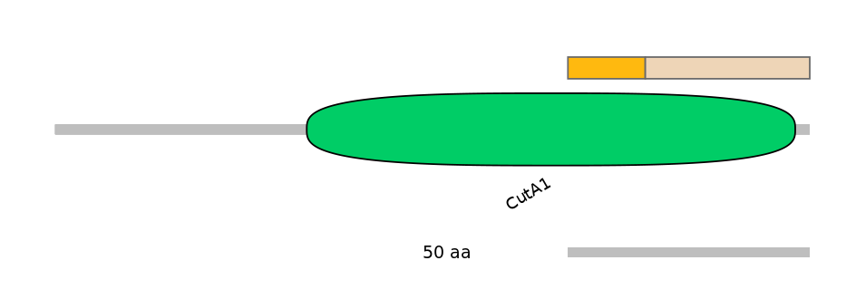 BtaINT0003590-EXC