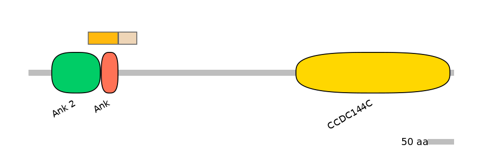 BtaINT0005175-EXC