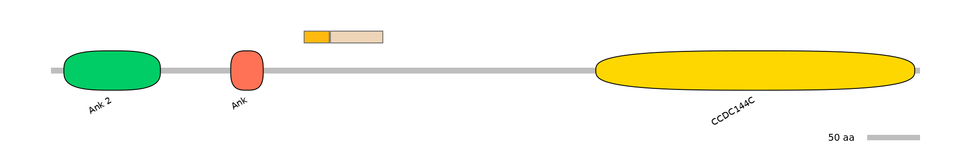 BtaINT0005920-EXC