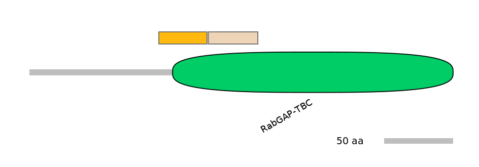 BtaINT0006358-EXC