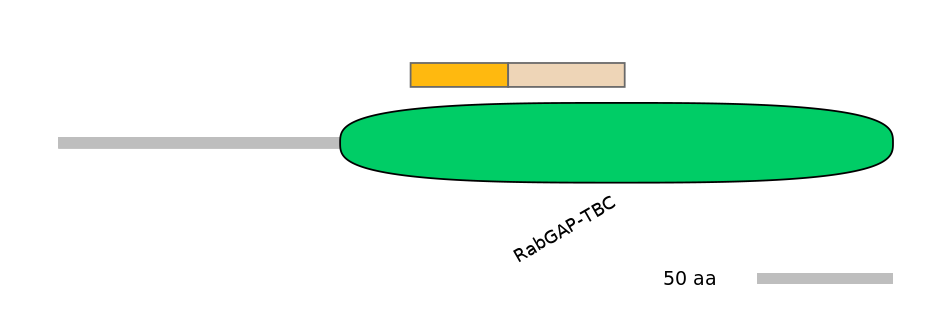 BtaINT0006359-EXC