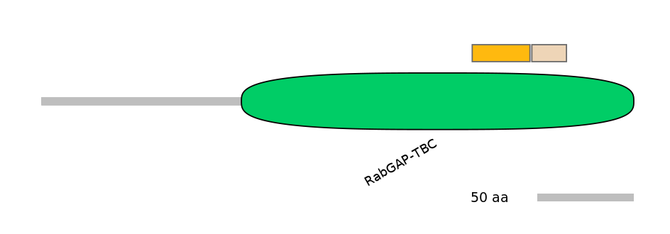 BtaINT0006362-EXC