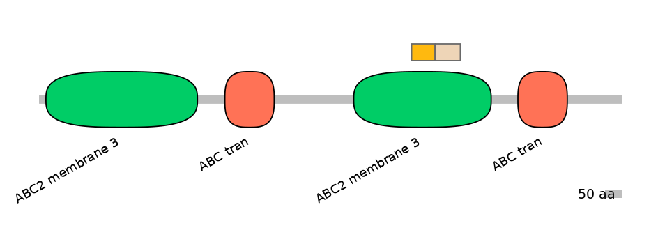 BtaINT0006684-EXC