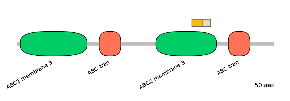BtaINT0006685-EXC