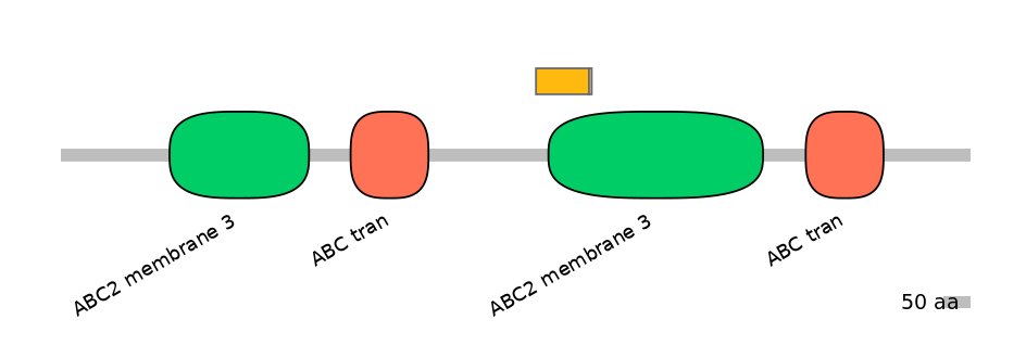 BtaINT0006881-EXC