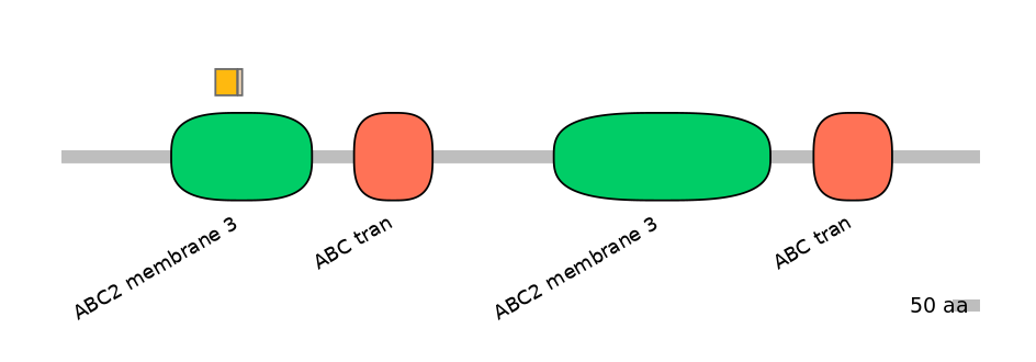 BtaINT0006903-EXC