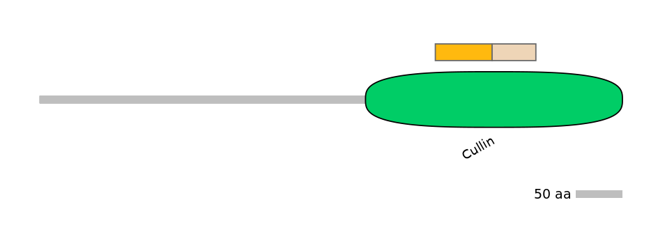 BtaINT0009022-EXC