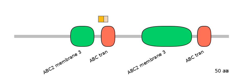 BtaINT0010801-EXC
