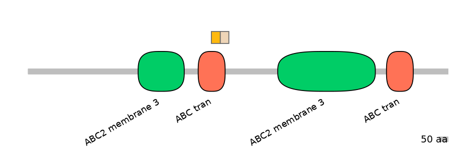 BtaINT0010804-EXC