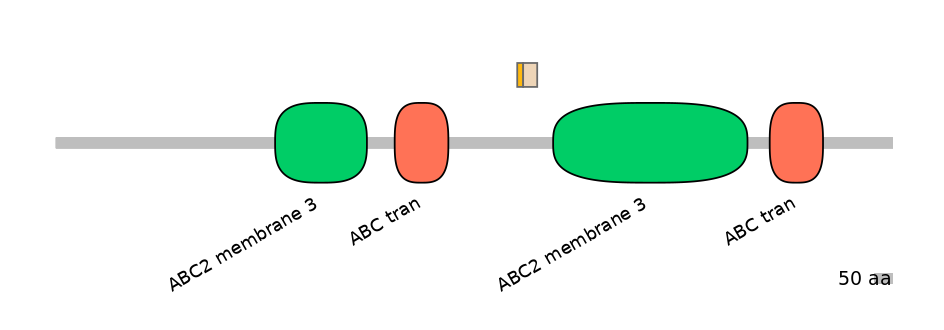 BtaINT0010809-EXC