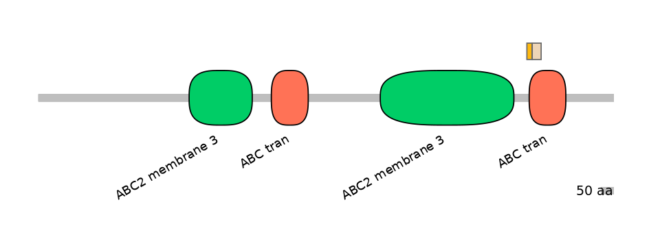 BtaINT0010828-EXC