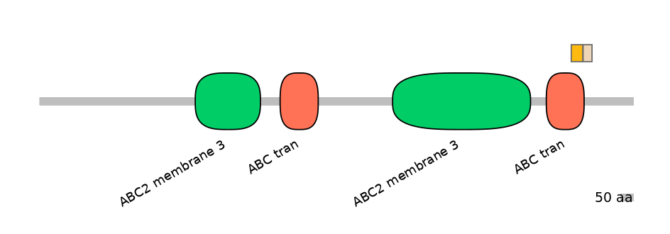 BtaINT0010831-EXC