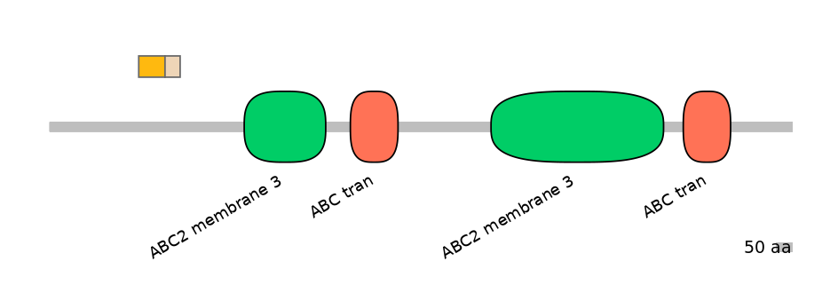 BtaINT0010839-EXC
