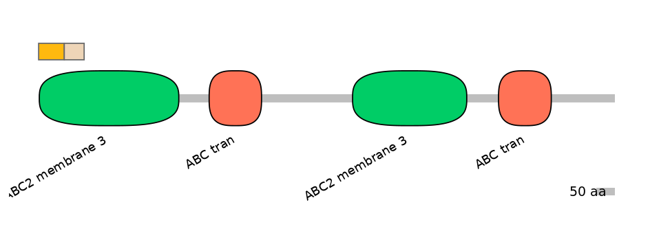 BtaINT0010840-EXC