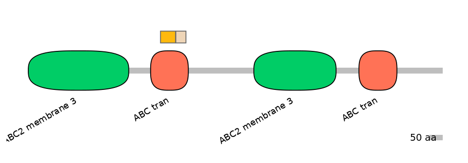 BtaINT0010842-EXC