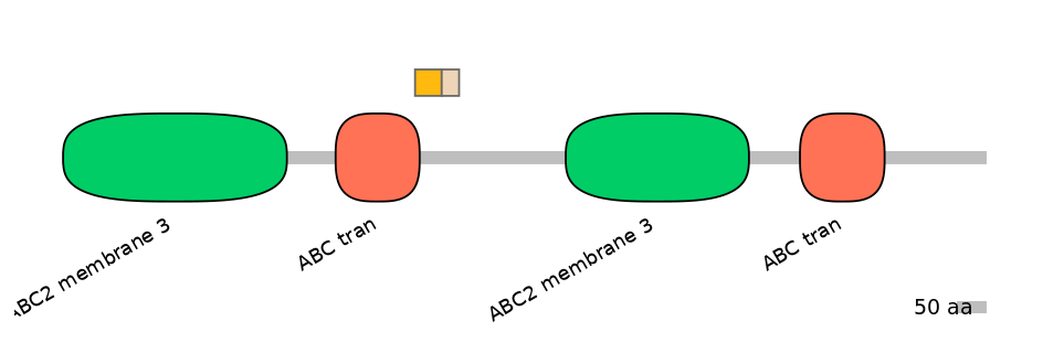 BtaINT0010844-EXC