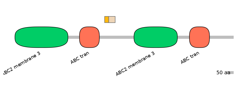 BtaINT0010845-EXC