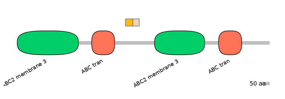 BtaINT0010846-EXC