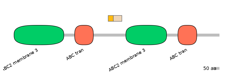BtaINT0010847-EXC