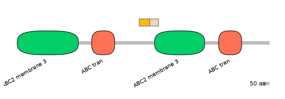 BtaINT0010848-EXC