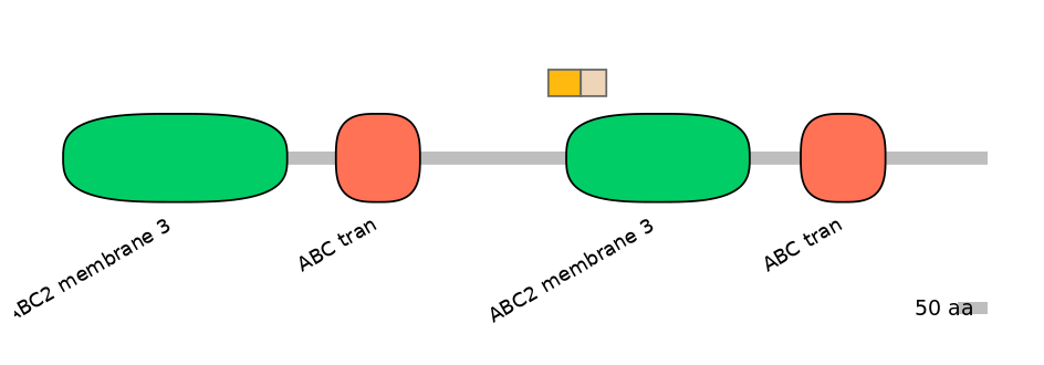 BtaINT0010849-EXC