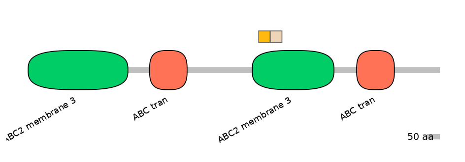 BtaINT0010850-EXC