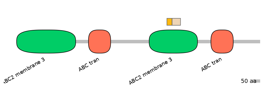 BtaINT0010853-EXC
