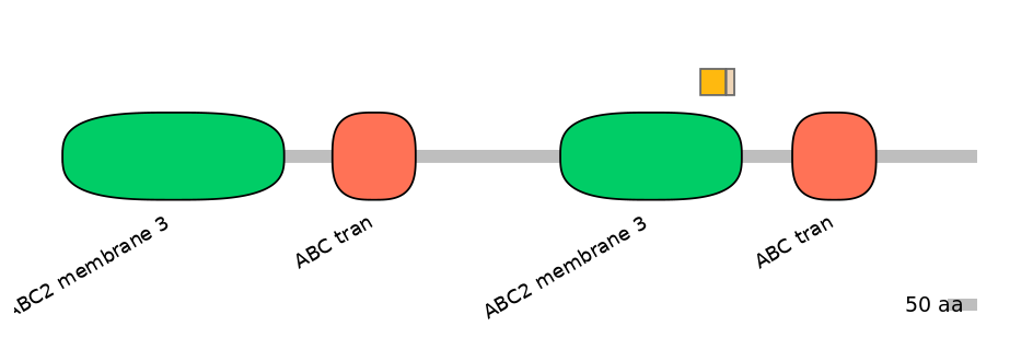 BtaINT0010856-EXC