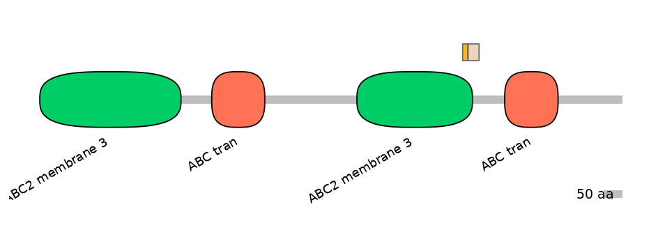 BtaINT0010857-EXC
