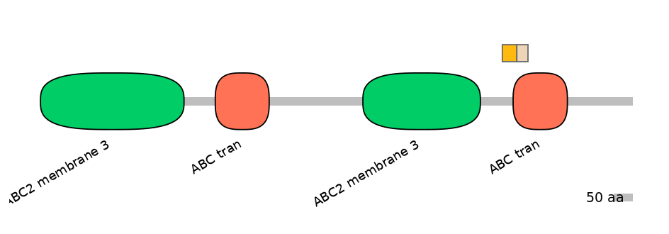 BtaINT0010860-EXC