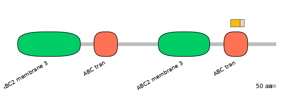 BtaINT0010863-EXC
