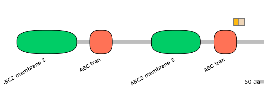 BtaINT0010865-EXC