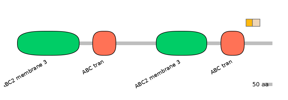 BtaINT0010866-EXC