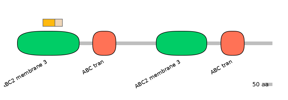 BtaINT0010870-EXC