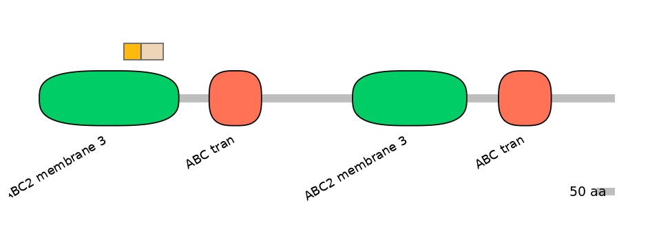 BtaINT0010871-EXC