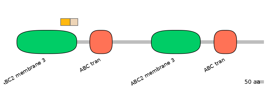 BtaINT0010872-EXC