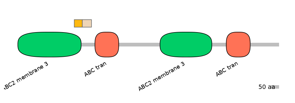 BtaINT0010873-EXC