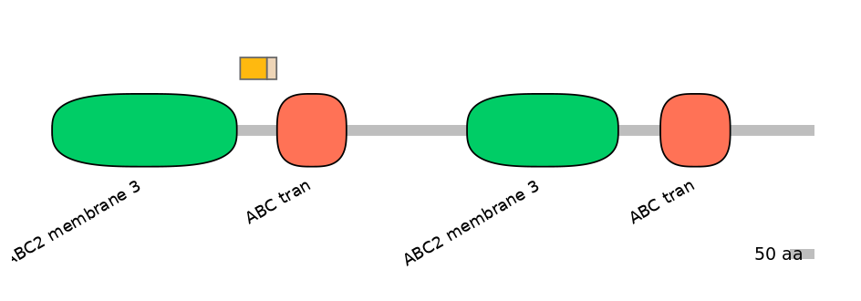 BtaINT0010874-EXC