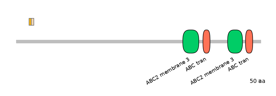 BtaINT0010930-EXC