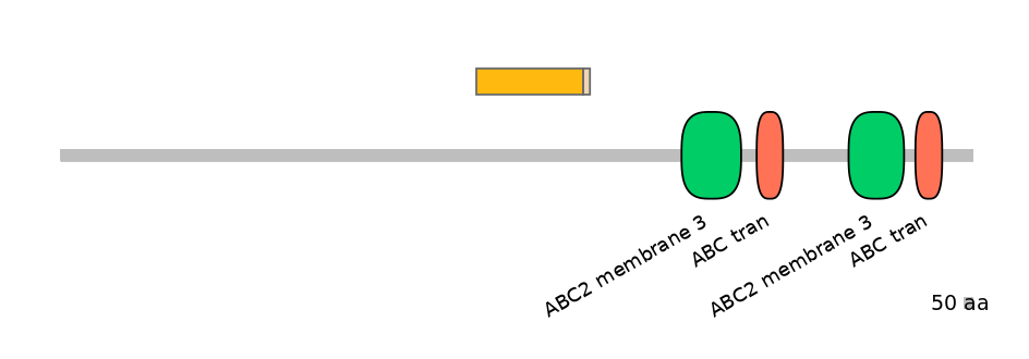 BtaINT0010941-EXC
