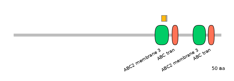 BtaINT0010958-EXC