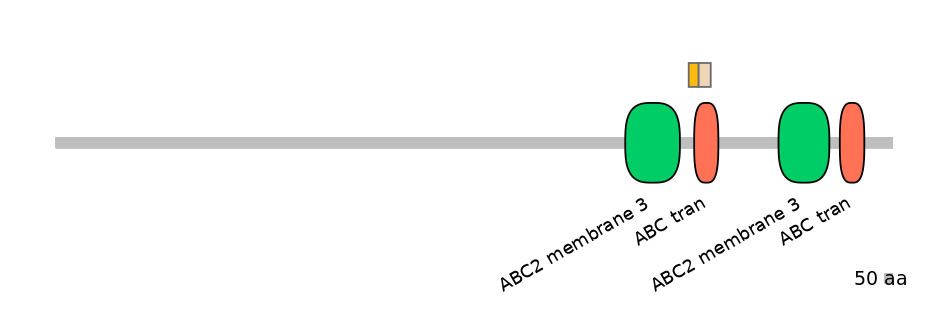 BtaINT0010963-EXC